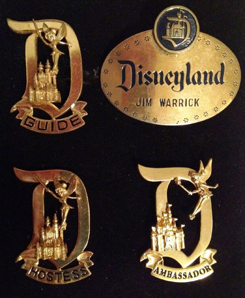 dl_pins2.jpg